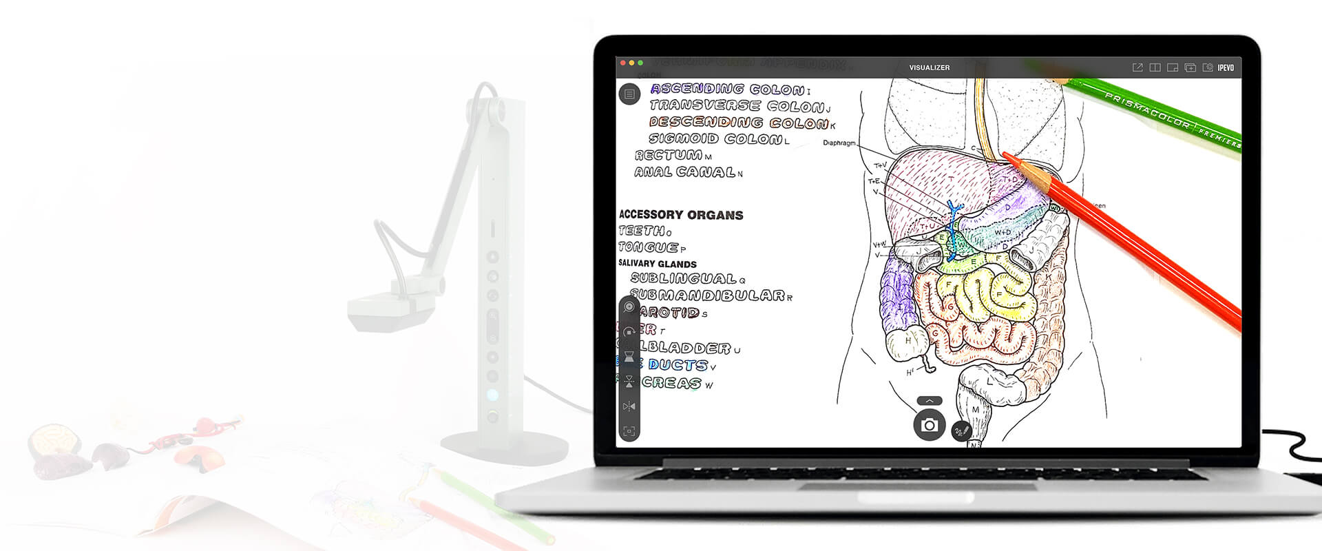IPEVO Visualizer for macOS